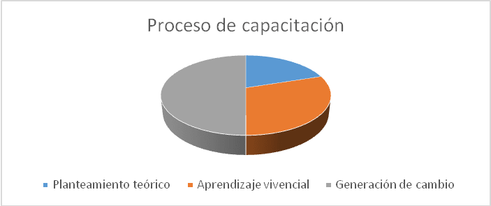 Proceso de capacitación.